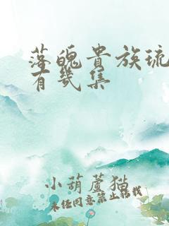 落魄贵族琉璃川有几集