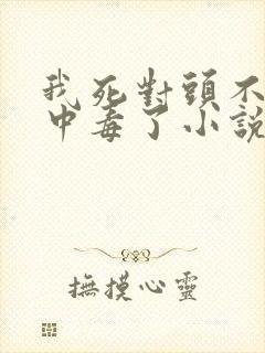 我死对头不小心中毒了小说