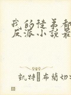 我的徒弟都是大反派小说最新更新