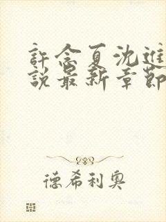 许念夏沈进舟小说最新章节更新内容