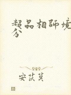 超品相师境界划分