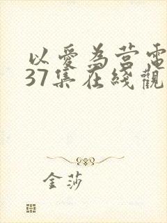 以爱为营电视剧37集在线观看