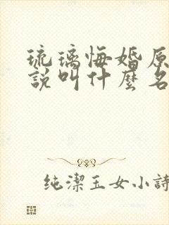 琉璃悔婚原著小说叫什么名字