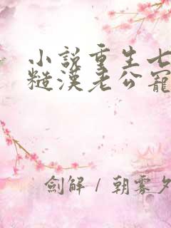 小说重生七零:糙汉老公宠妻成瘾小说