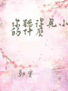 你听得见小说讲的什么