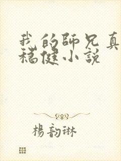 我的师兄真是太稳健小说