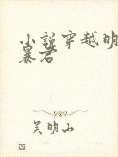 小说穿越明朝当暴君