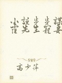 小说步步谋婚,霍先生宠妻成瘾,