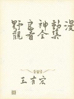 野良神动漫免费观看全集