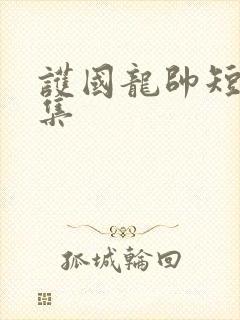 护国龙帅短剧全集