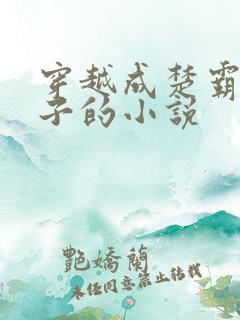 穿越成楚霸王儿子的小说