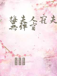 梅夫人宠夫日常无弹窗