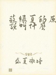 苏绿夏的原著小说叫什么