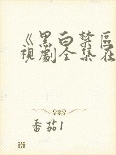 《黑白禁区》电视剧全集在线观看免费