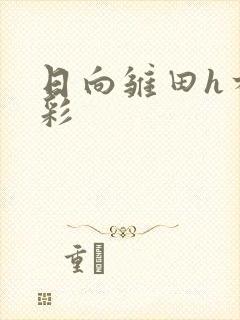 日向雏田h本全彩