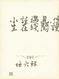 小说遇见,傅先生在线阅读