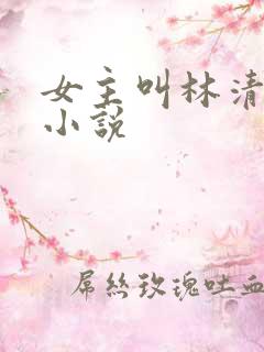 女主叫林清婉的小说