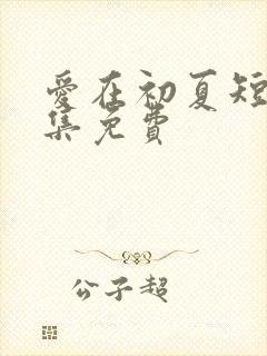 爱在初夏短剧全集免费