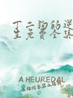 丁二狗的逆袭人生免费全集