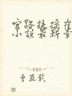 官路扶摇崔向东小说最新章节