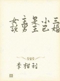 女主是小三的小说男主已婚是高干