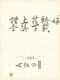 错上花轿嫁王爷全集下载