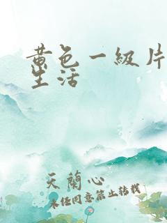 黄色一级片夫妻生活