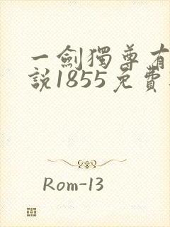 一剑独尊有声小说1855免费听