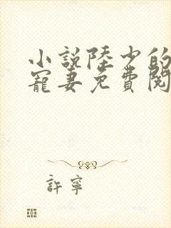 小说陆少的心尖宠妻免费阅读