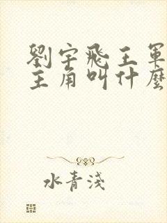 刘宇飞王军小说主角叫什么