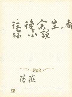 往后余生,都是你 小说