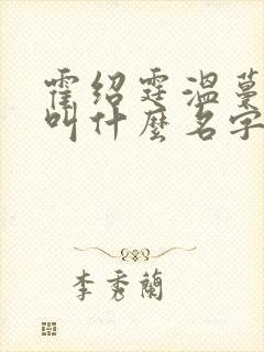 霍绍霆温蔓小说叫什么名字