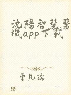 沈阳智慧医保手机app下载