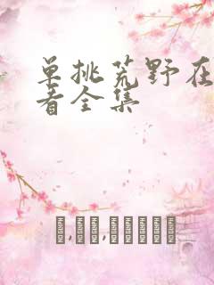 单挑荒野在线观看全集