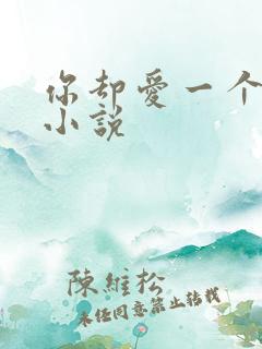 你却爱一个烧饼小说