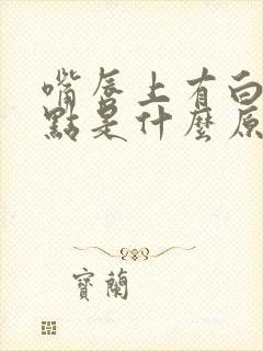 嘴唇上有白色的点是什么原因造成