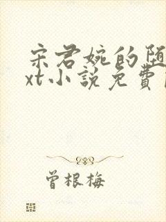 宋君婉的堕落txt小说免费阅读全文