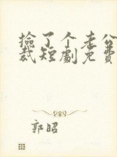 捡了个老公是总裁短剧免费观看