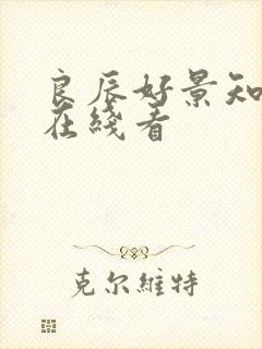 良辰好景知几何在线看