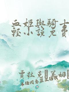 血姬与骑士小说轻小说免费阅读