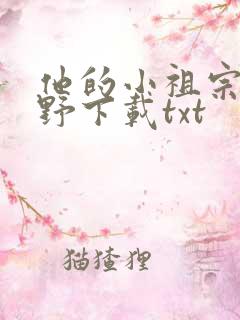 他的小祖宗甜又野下载txt