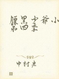 腹黑少爷小甜妻第四季