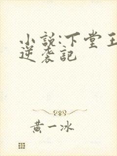 小说:下堂王妃逆袭记