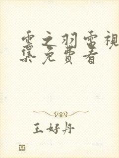 云之羽电视剧全集免费看