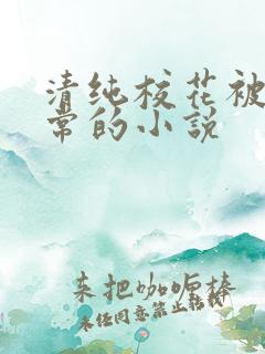 清纯校花被擒日常的小说