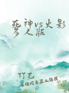 死神vs火影最多人版