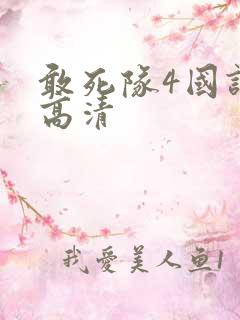 敢死队4国语版高清