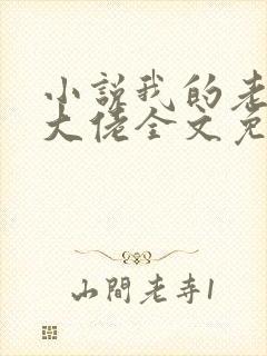 小说我的老公是大佬全文免费阅读