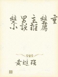 双男主双重人格小说推荐