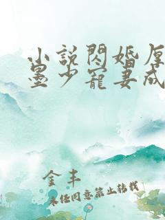 小说闪婚厚爱:墨少宠妻成瘾